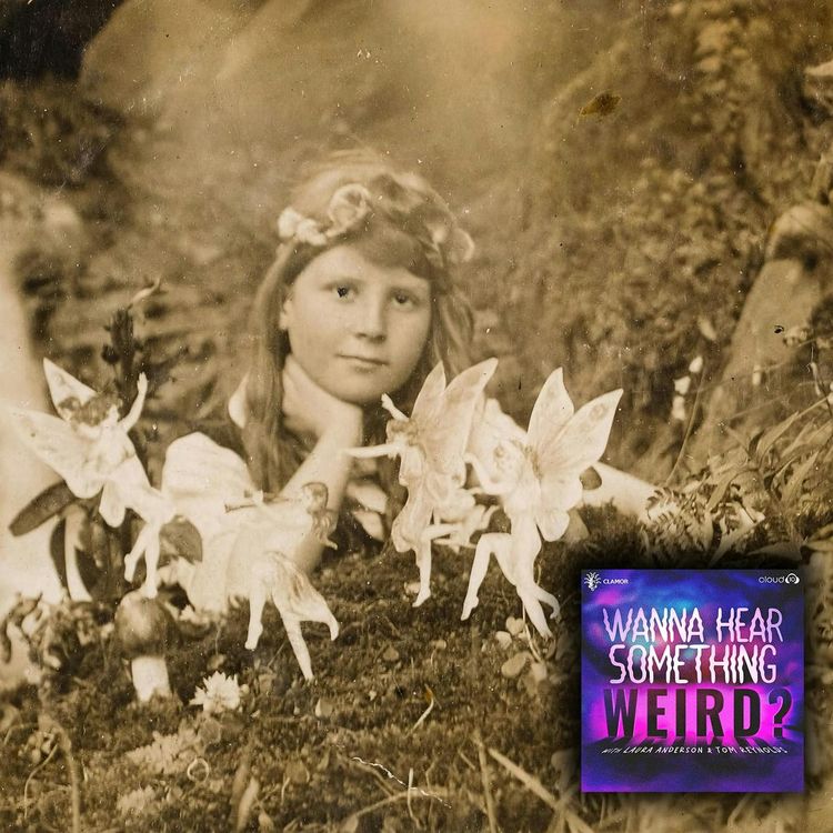 cover art for The Cottingley Fairies