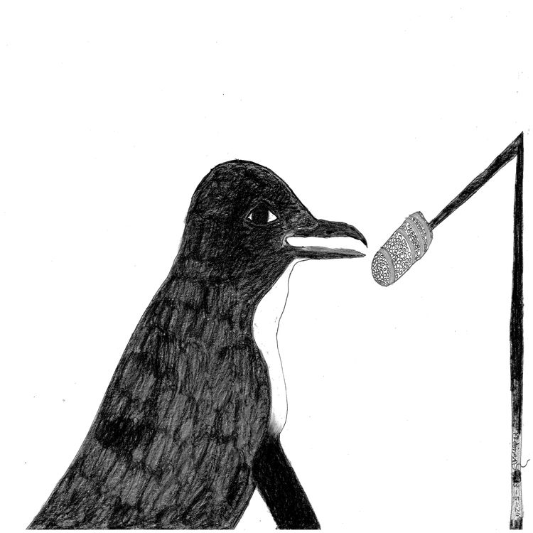 cover art for Little Penguin