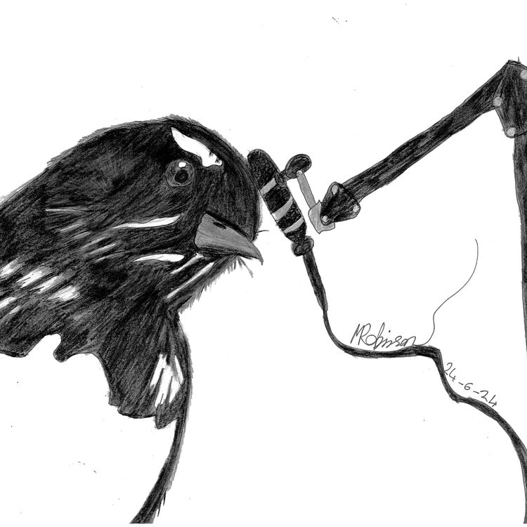 cover art for Willy the Willy-Wag tail