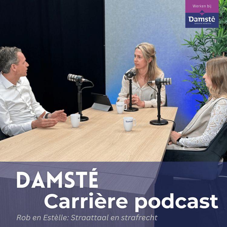 cover art for Straattaal en strafrecht 