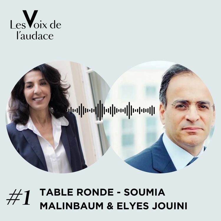 cover art for [EXTRAIT] Elyes Jouini - Qu'est ce que le Gender Paradox ?