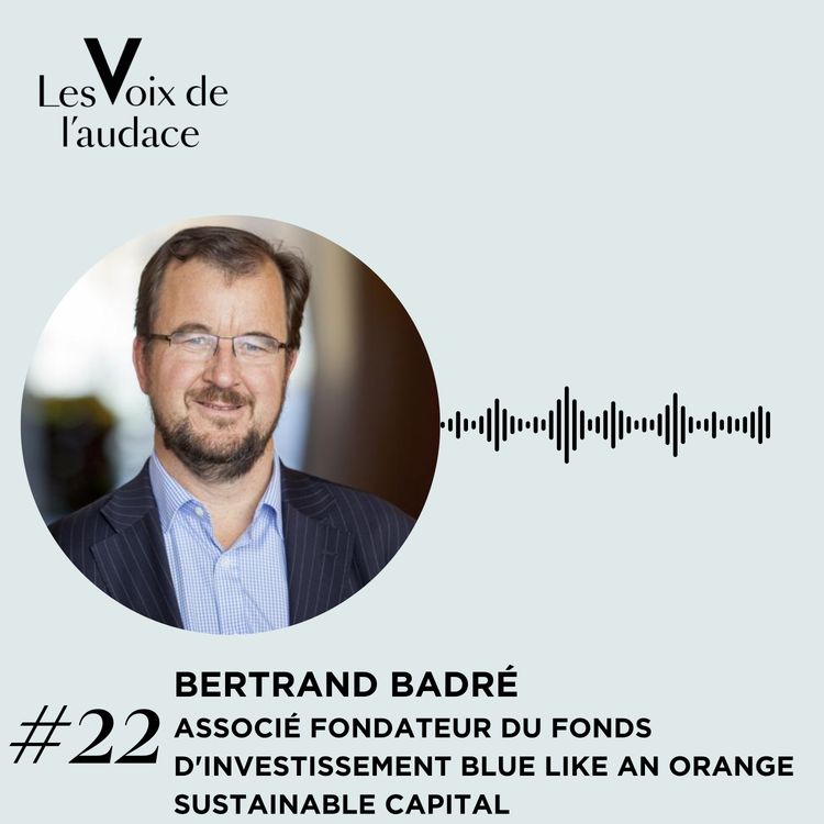 cover art for Bertrand Badré - ESG vs Backlash: peut on encore transformer la finance?