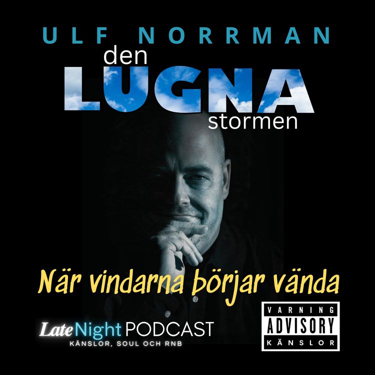 cover art for När vindarna börjar vända...