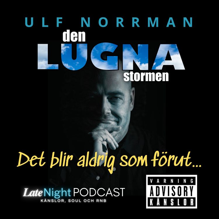 cover art for Det blir aldrig som förut