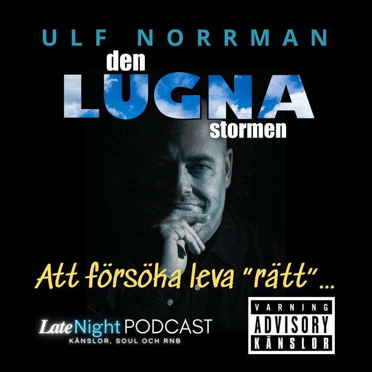 cover art for Att försöka leva "rätt"...