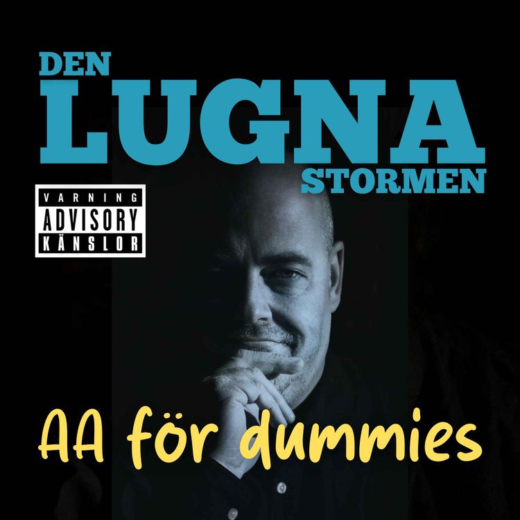 cover art for AA för dummies