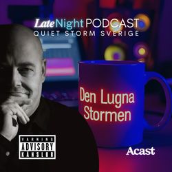 cover art for Den Lugna Stormen