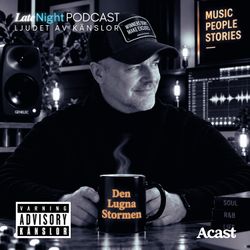 cover art for Den Lugna Stormen