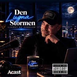cover art for Den Lugna Stormen