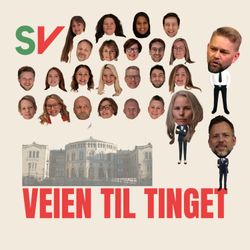 cover art for Veien til Tinget
