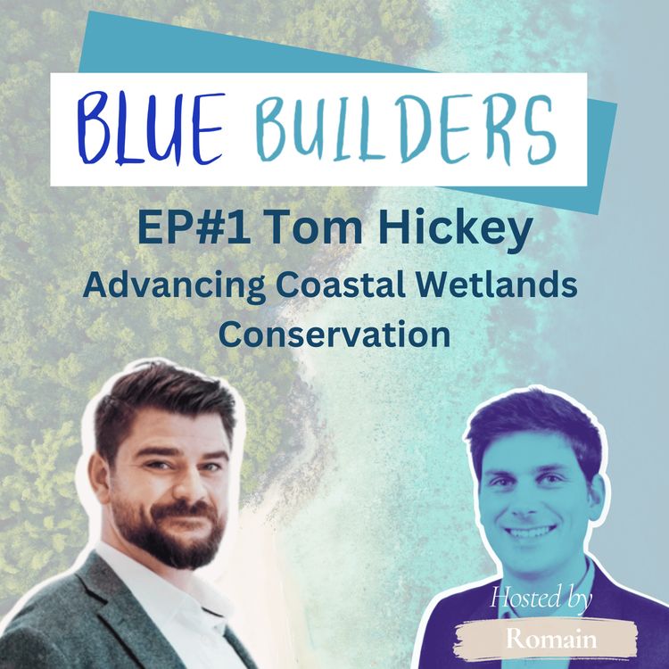 cover art for Tom Hickey - Advancing Coastal Wetlands Conservation