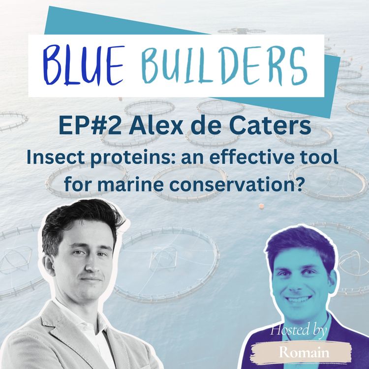 cover art for Alex de Caters - insect proteins in 2025: an effective tool for marine conservation?