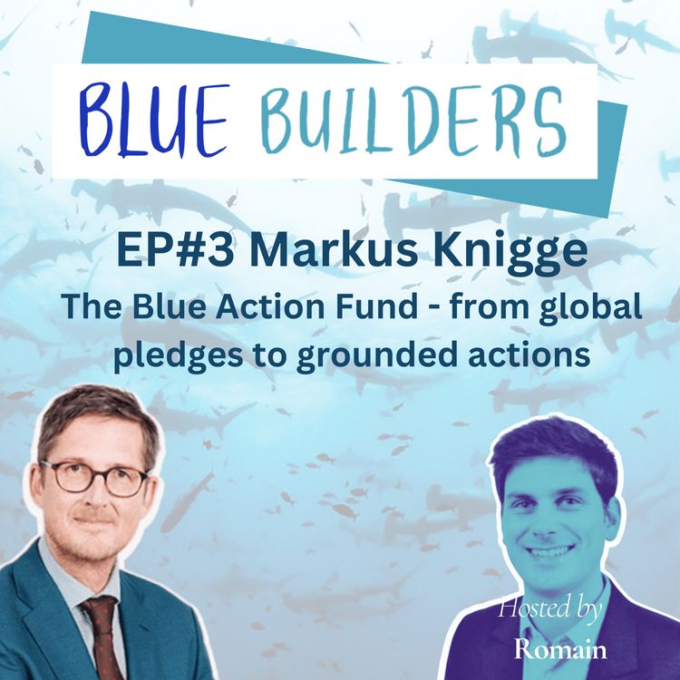 cover art for Markus Knigge - Blue Action Fund from global pledges to local actions