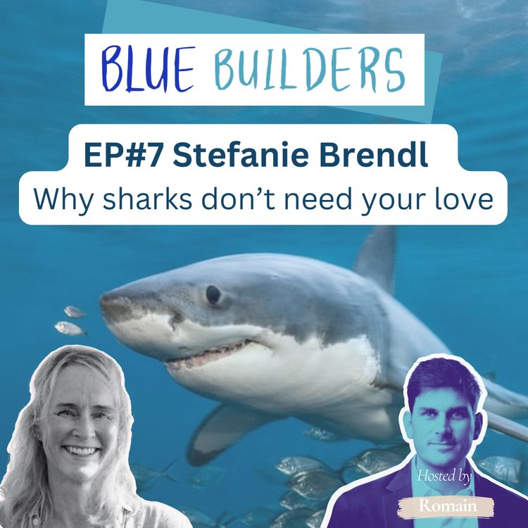 cover art for Stefanie Brendl - Why sharks don't need your love