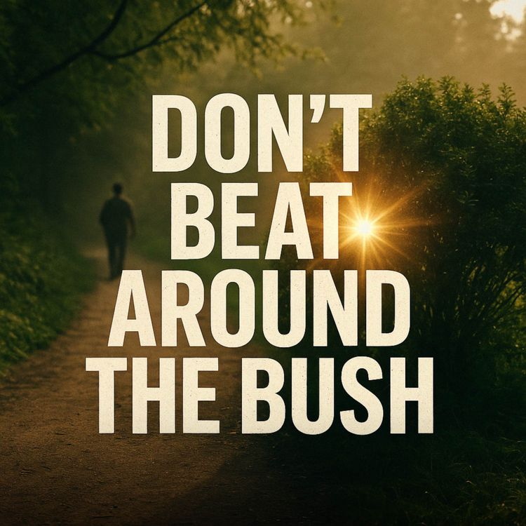 cover art for Don't Beat Around the Bush | Mufti Menk