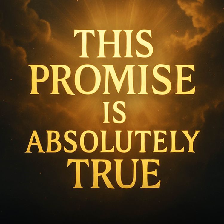 cover art for This Promise is Absolutely True | Mufti Menk