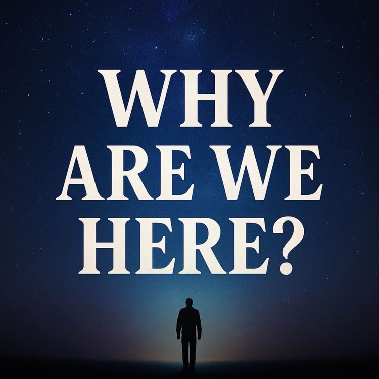cover art for Why Are We Here? | Haifaa Younis