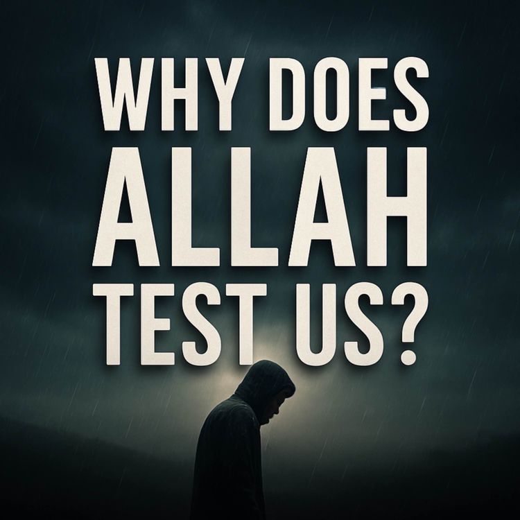 cover art for Why Does Allah Test Us? | Assim Al Hakeem