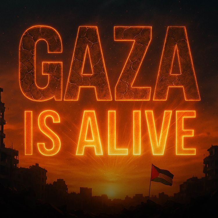 cover art for Gaza Is Alive — Q&A Panel with Miko Peled & Zachary Foster | Yasir Qadhi