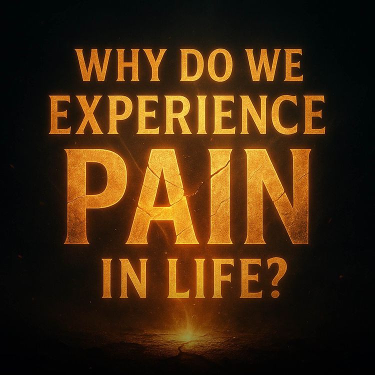 cover art for Why Do We Experience Pain in Life? | Yasmin Mogahed