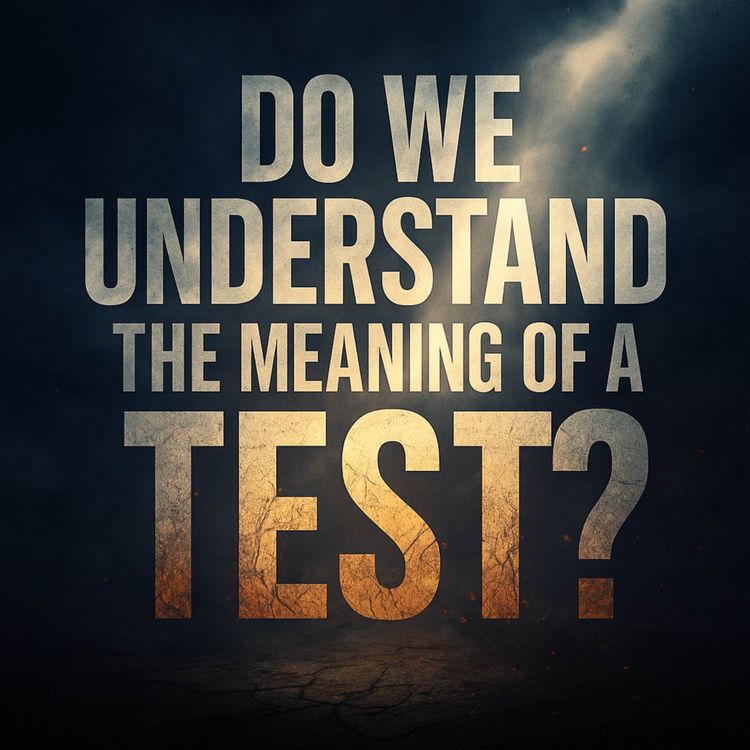 cover art for Do We Understand the Meaning of a Test? | Haifaa Younis