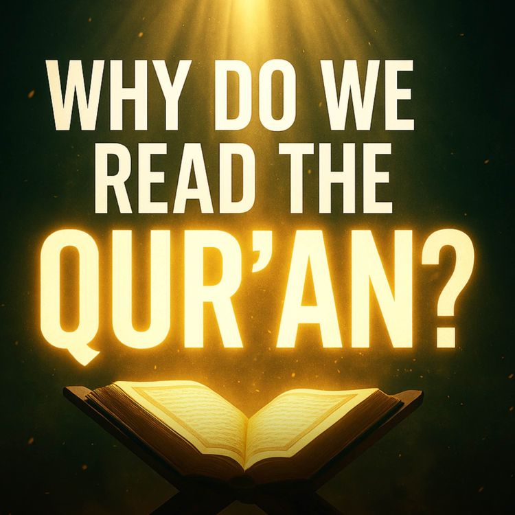 cover art for Why Do We Read the Qur’an? | Abu Bakr Zoud