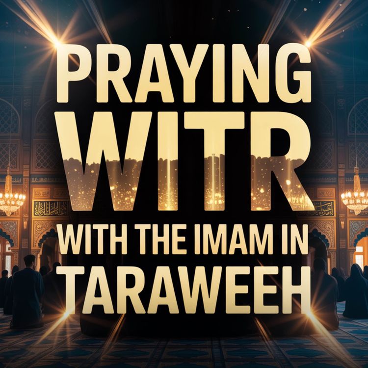 cover art for Praying Witr with the Imam in Taraweeh | Assim Al-Hakeem