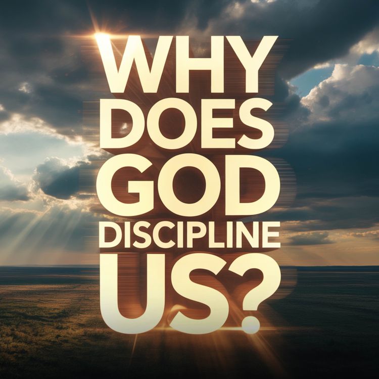cover art for Why does God discipline us? | Mufti Menk