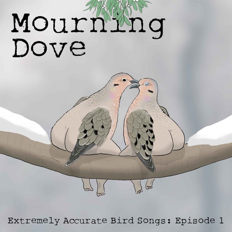 cover art for Mourning Dove