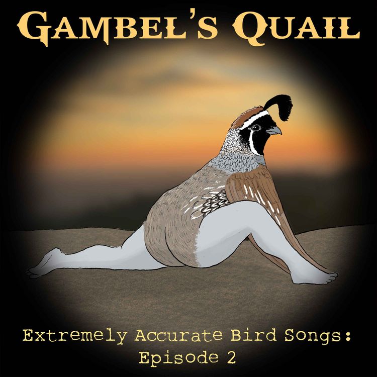 cover art for Gambel's Quail