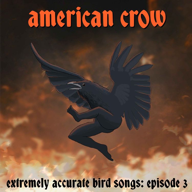 cover art for American Crow