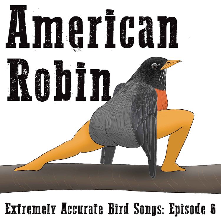 cover art for American Robin