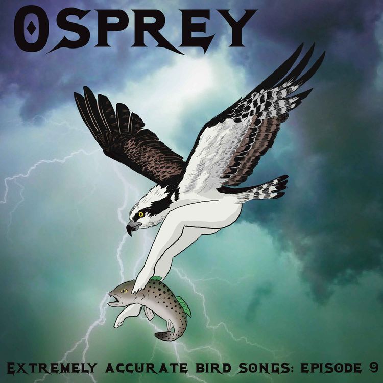 cover art for Osprey