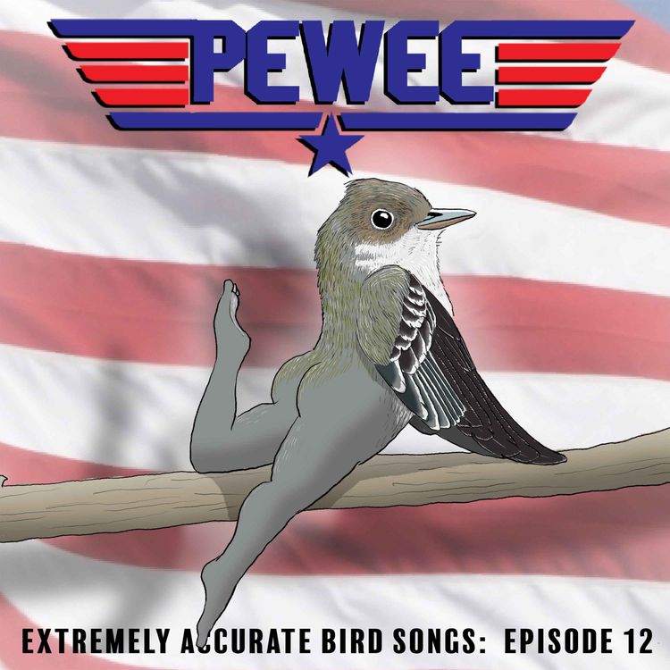 cover art for Eastern Wood Pewee