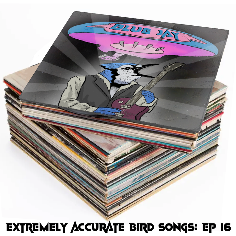 cover art for Blue Jay