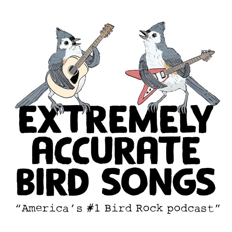 cover art for Extremely Accurate Extras 