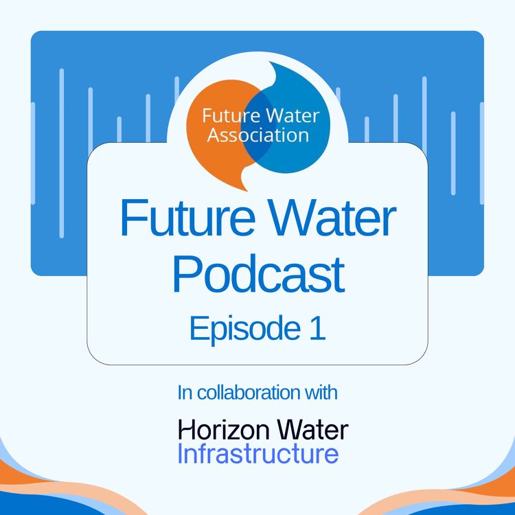 cover art for The Transformation Challenge in the Water Sector