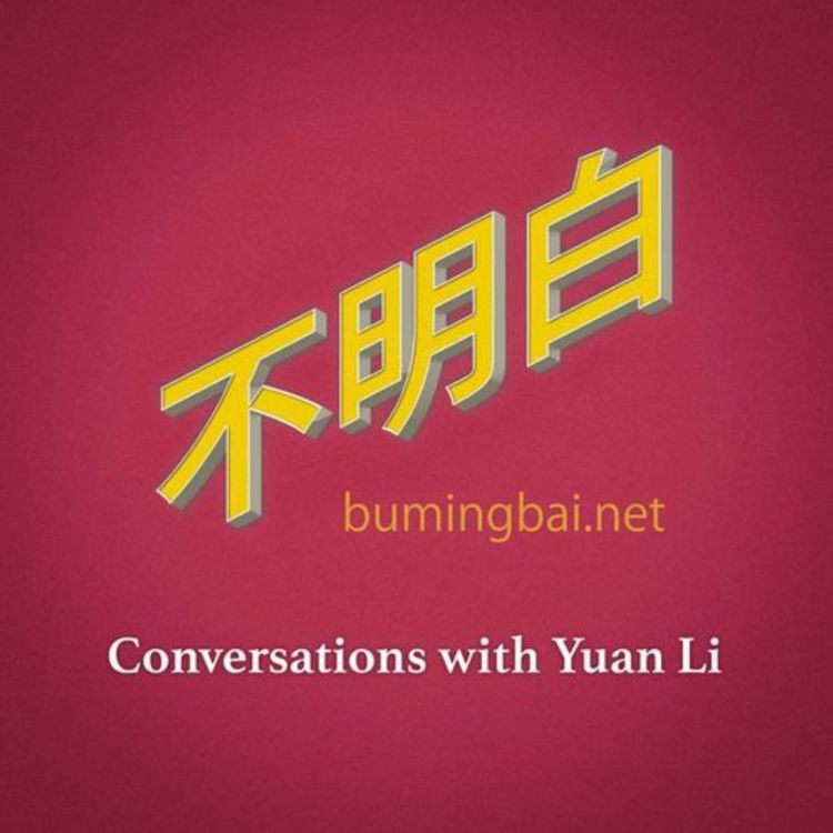 cover art for 许成钢:AI竞赛会把通缩中的中国经济带向何方?