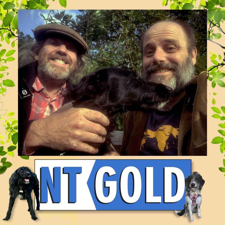 cover art for Survivors (Series 1) Special (30th July 2021)