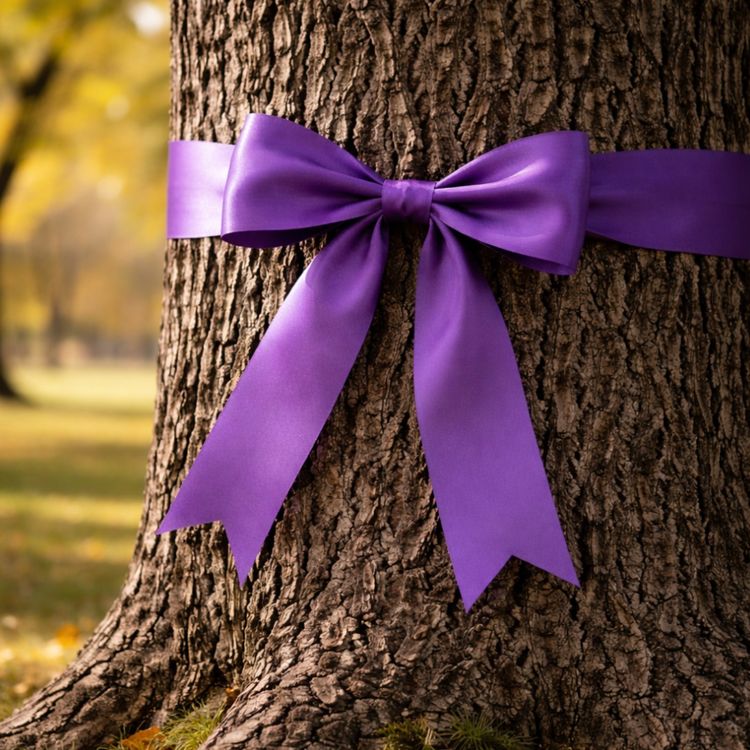 cover art for Last Steps: Jessica Ridgeway