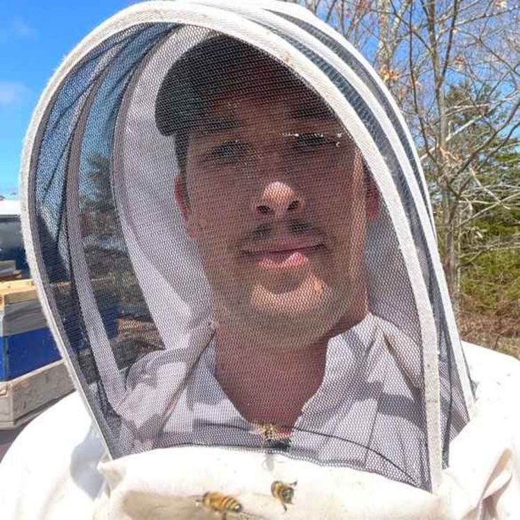 cover art for Kaleb Schriefer - Beekeeping