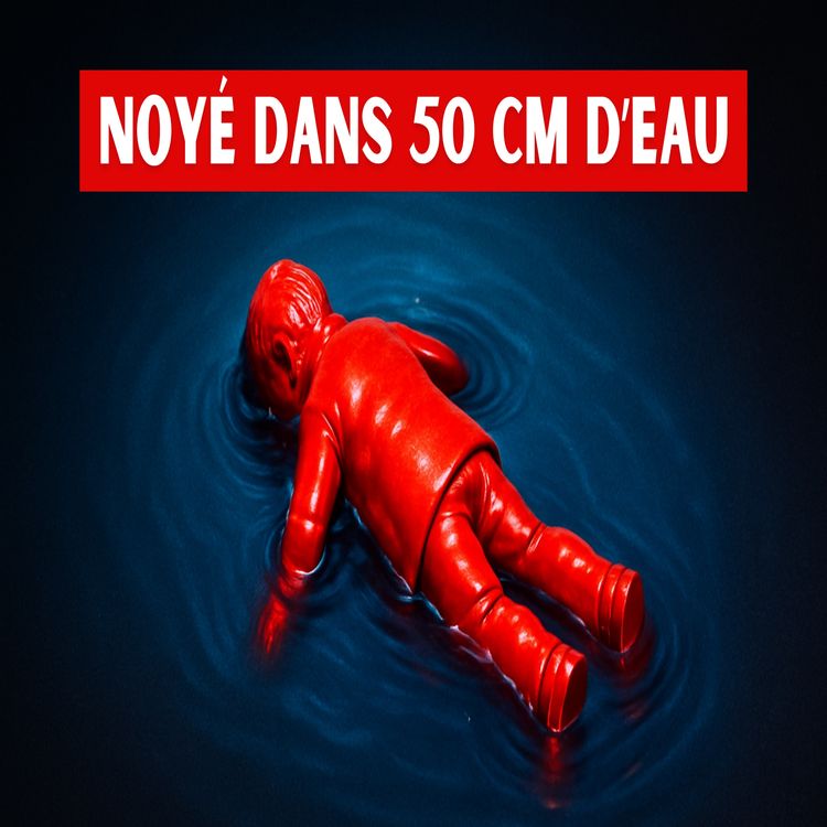 cover art for Max Revient sur : l'affaire Boulin (feat Fabienne Boulin)