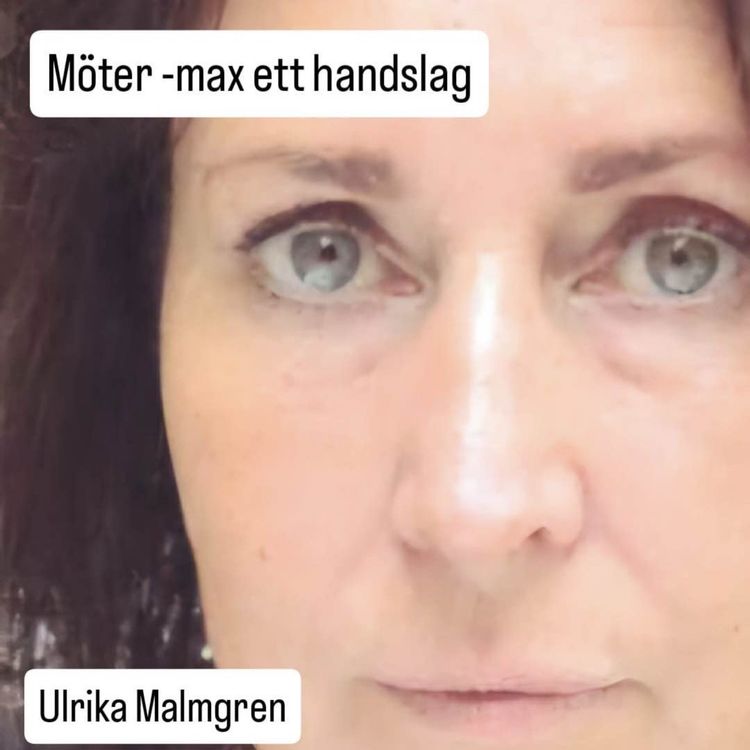 cover art for Möter - max ett handslag 