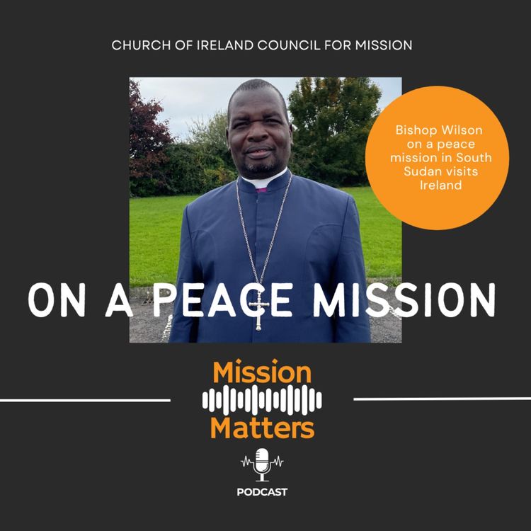 cover art for Bishop Wilson on a Peace Mission