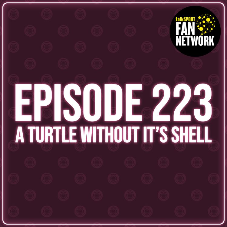 cover art for Episode 223 - A Turtle Without It's Shell