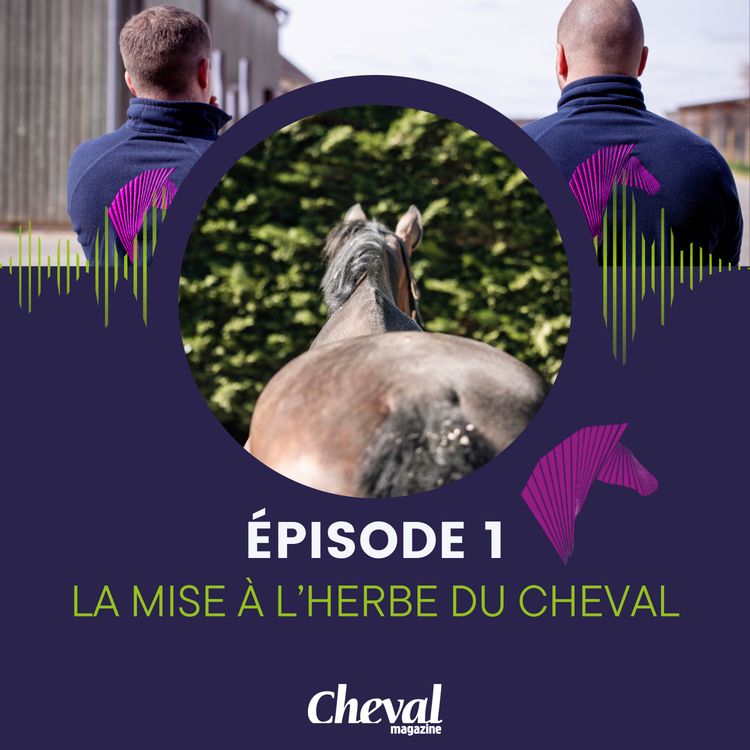 cover art for #1 - La mise à l'herbe du cheval