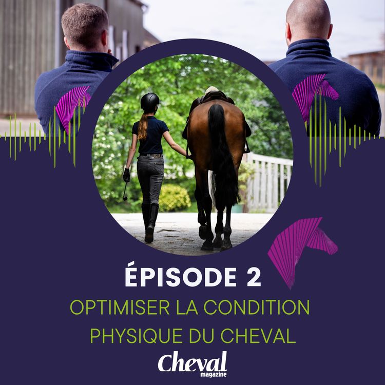 cover art for #2 - Optimiser la condition physique du cheval en vue d'une échéance