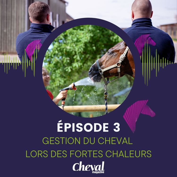 cover art for #3 - Gestion du cheval lors des fortes chaleurs