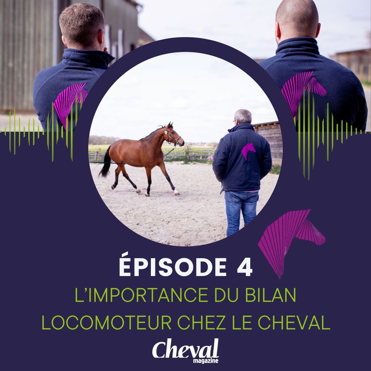 cover art for #4 - L'importance du bilan locomoteur chez le cheval