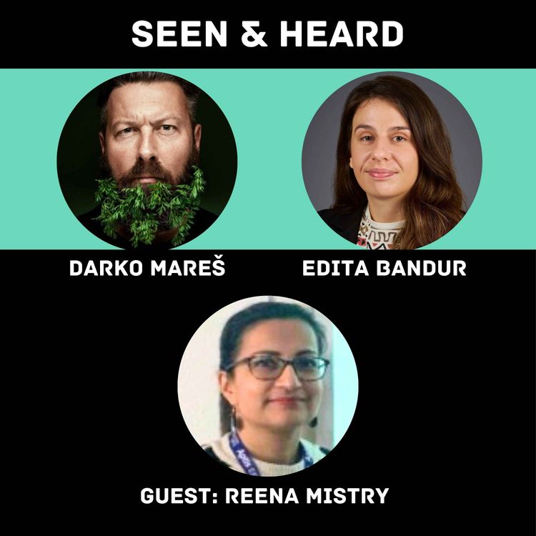 cover art for Words Matter - Inclusive Healthcare Communication: Reena Mistry